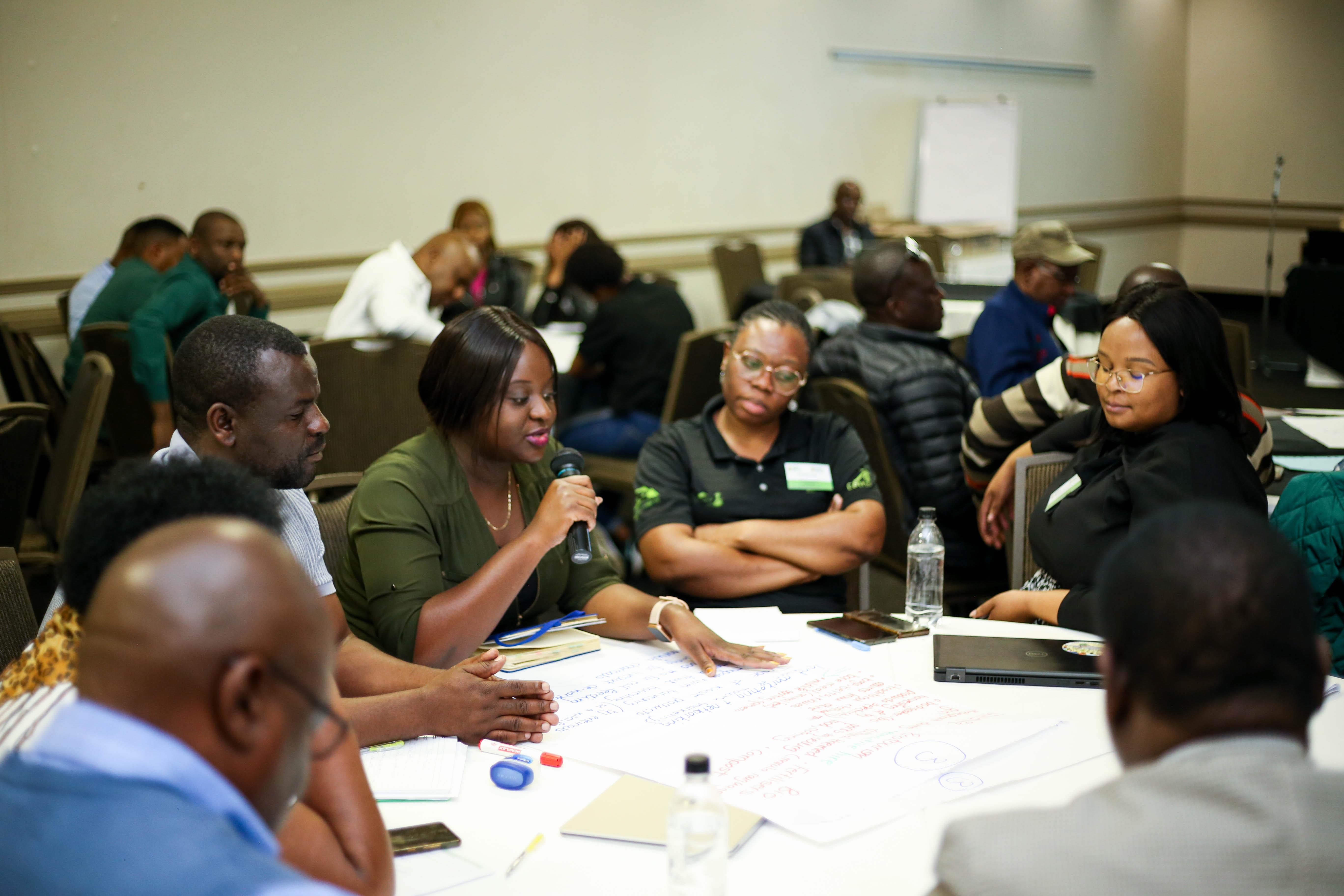 Biodiversity Investment Gallery